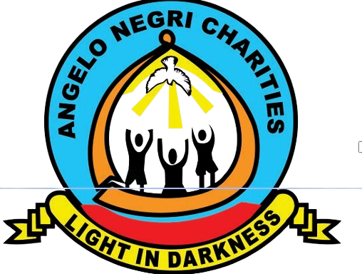 angelonegricharities.org